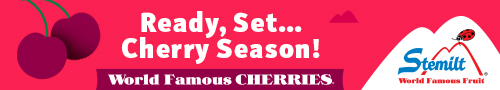 Ready, set   cherry season!