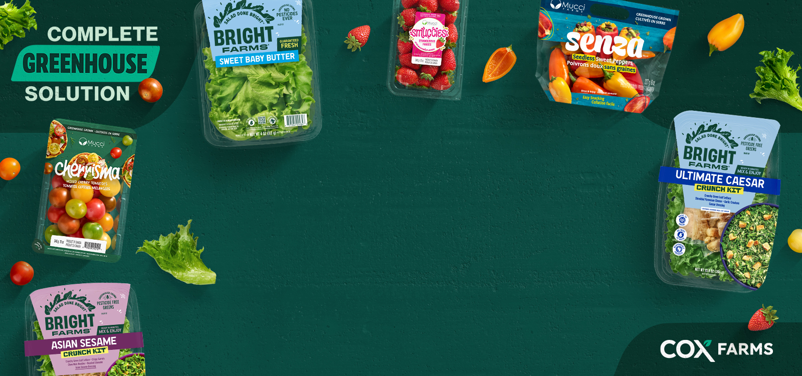 Wraparound Ad