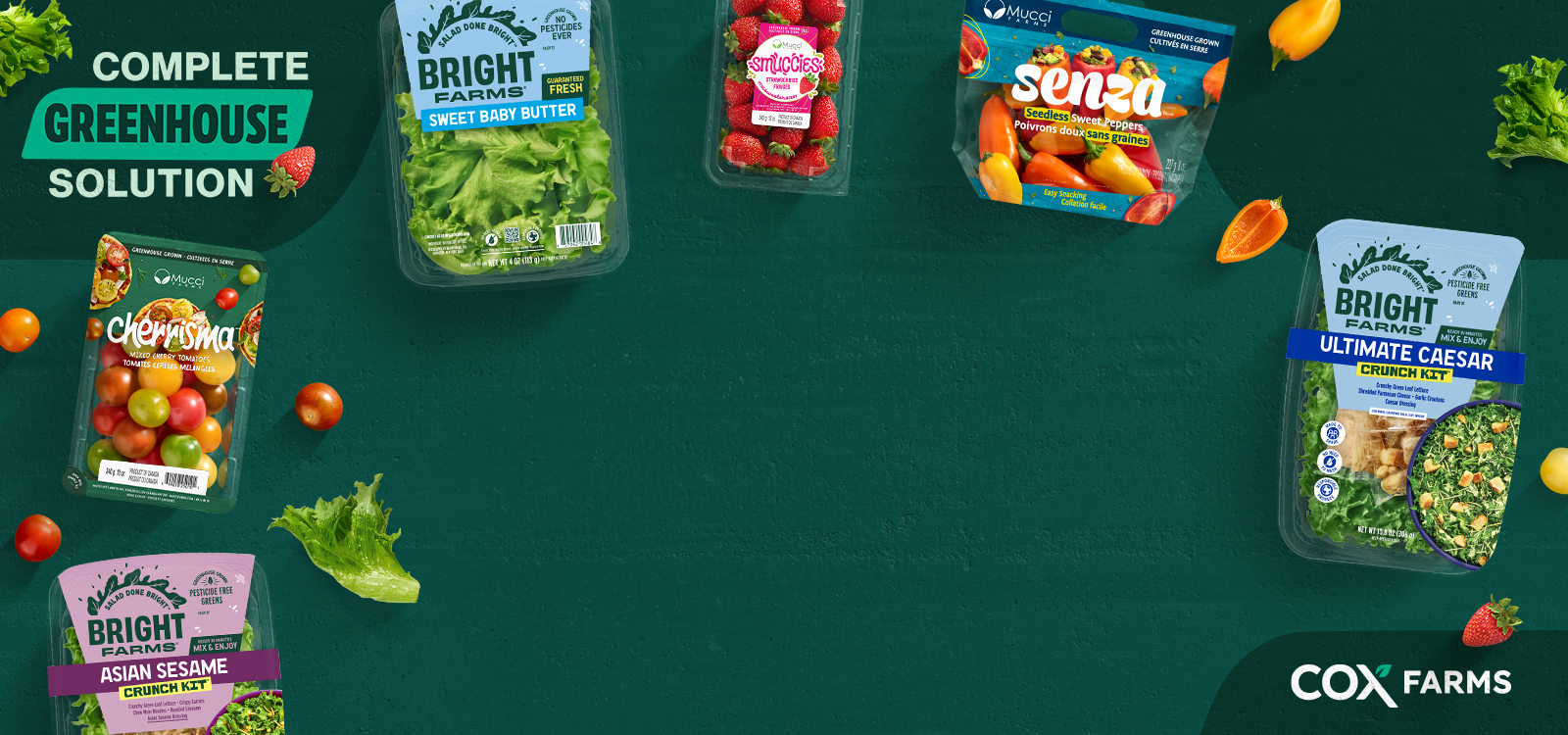 Wraparound Ad
