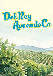 Del Rey Avocado Company