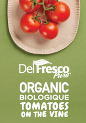 Organic Tomatoes on the Vine
