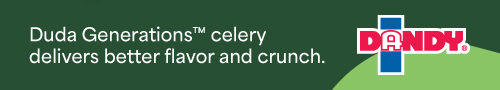 Duda Generations celery delivers better flavor and crunch - Dandy