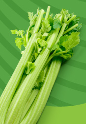 Duda Farm Fresh Foods - Let's Talk Stalk
