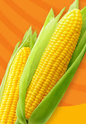 Duda Farm Fresh Foods - Stock your shelves with Sweet Corn