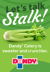 Duda - Let's Talk Stalk!