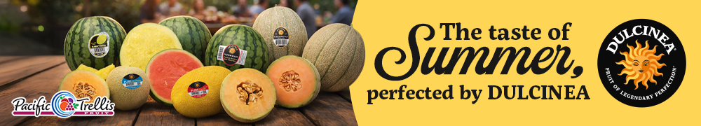 The taste of summer, perfected by Dulcinea