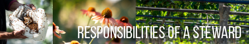Happy Earth Month!