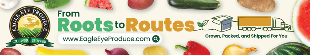 From Roots to Routes