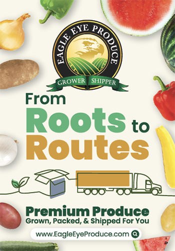 From roots to routes