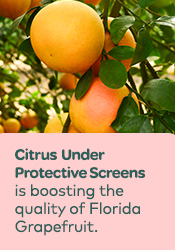CUPS ups Florida's citrus game