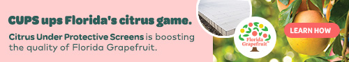 CUPS ups Florida's citrus game