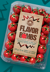 Flavor Bombs, An Explosion of Flavor