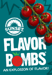 Flavor Bombs, An Explosion of Flavor