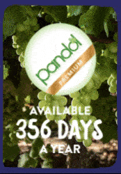 Available 365 days a year