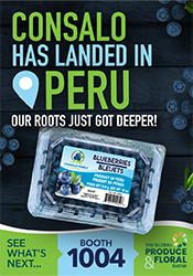 Consalo Family Farms - Peruvian Blueberries