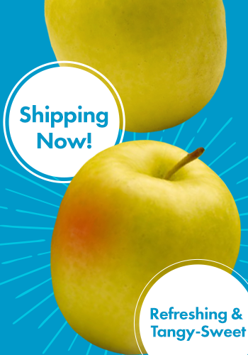 Lemonade Apples Shipping Now