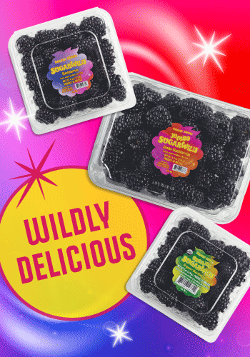 Sugarwild Premium Blackberries Exclusively from Giumarra