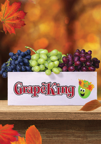 Fresh Fall Harvest from Giumarra