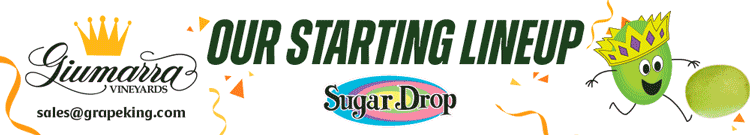 Our Starting Lineup