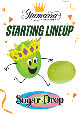 Our Starting Lineup