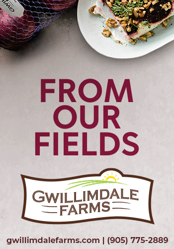 From our Fields to Your Feast