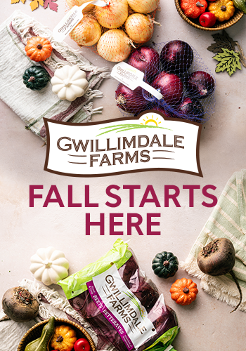 Fall Starts Here