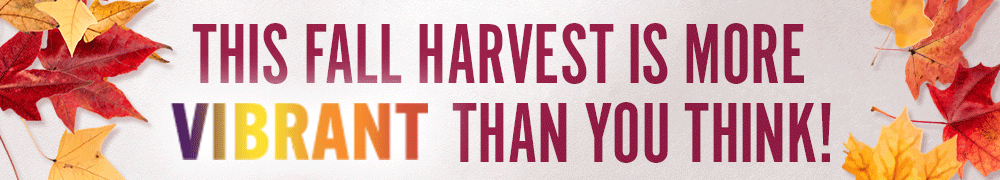 This falls harvest is more vibrant than you think! 
