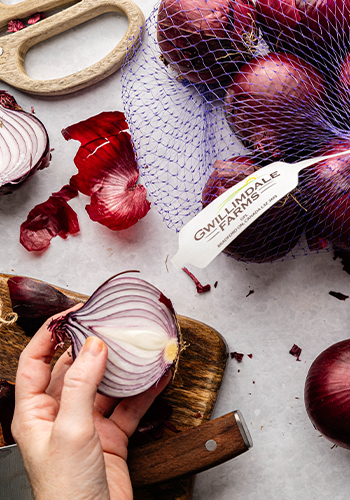 Freshness Never Goes Out of Season