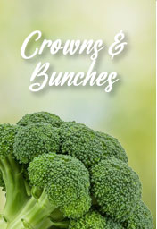 Hapco Farms - Maine Broccoli