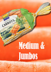 Hapco Farms - Florida Carrots