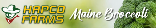 Hapco Farms - Maine Broccoli