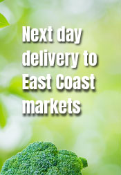 Next day delivery to East Coast markets
