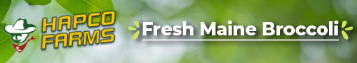 Hapco Farms - Fresh Maine Broccoli