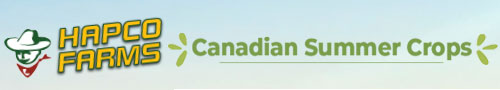 Hapco Farms - Canadian Summer Crops