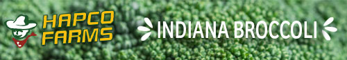 Hapco Farms - Indiana Broccoli