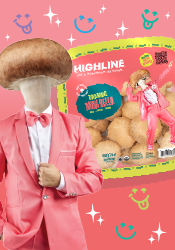 Highline Mushrooms - Eat a Mushroom  Be Super 