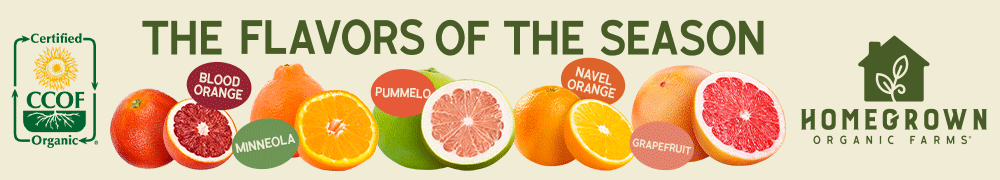 The Flavors of the Season