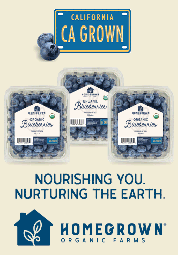 Nourishing You  Nurturing the Earth  