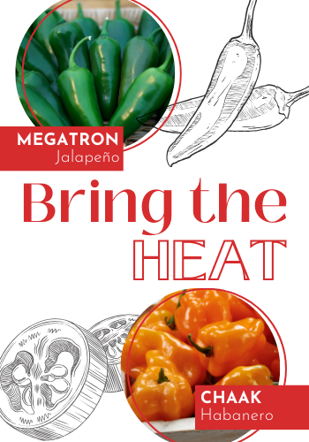 Hot Peppers