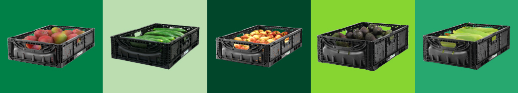 IFCO - Reusable packaging solutions
