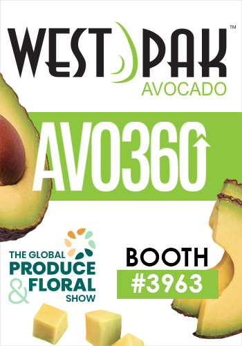 AVO360