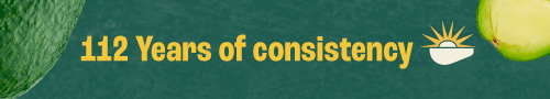 112 years of consistancy - Zero pivots - Index Fresh
