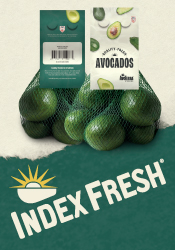Index Fresh Avocados