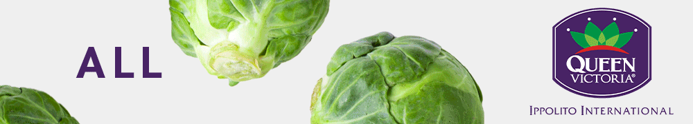 Ippolito International - All about (Brussels) Sprouts