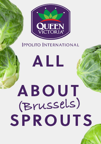 Ippolito International - All about (Brussels) Sprouts