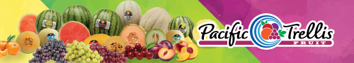 Bold flavors of summer