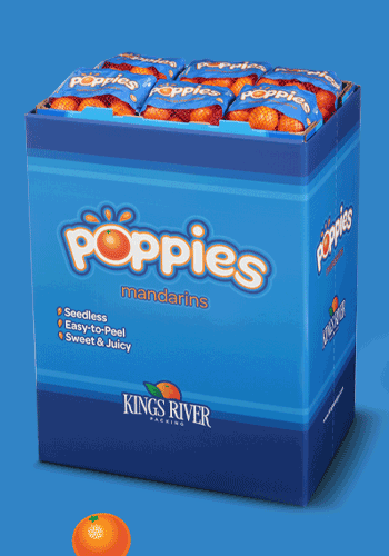Poppies