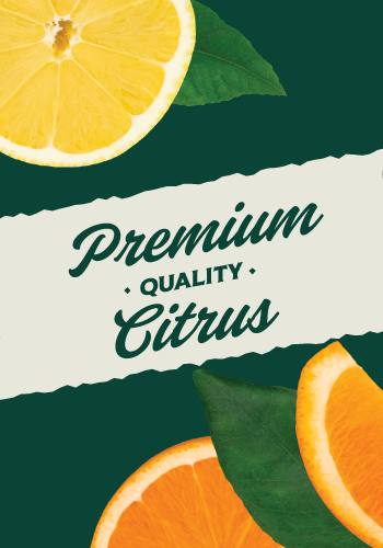 Premium Quality Citrus