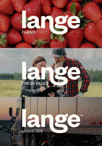 Get More with Lange Companies