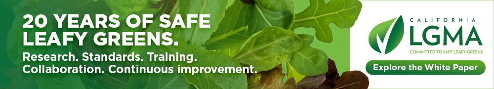 20 years of continuous improvement 